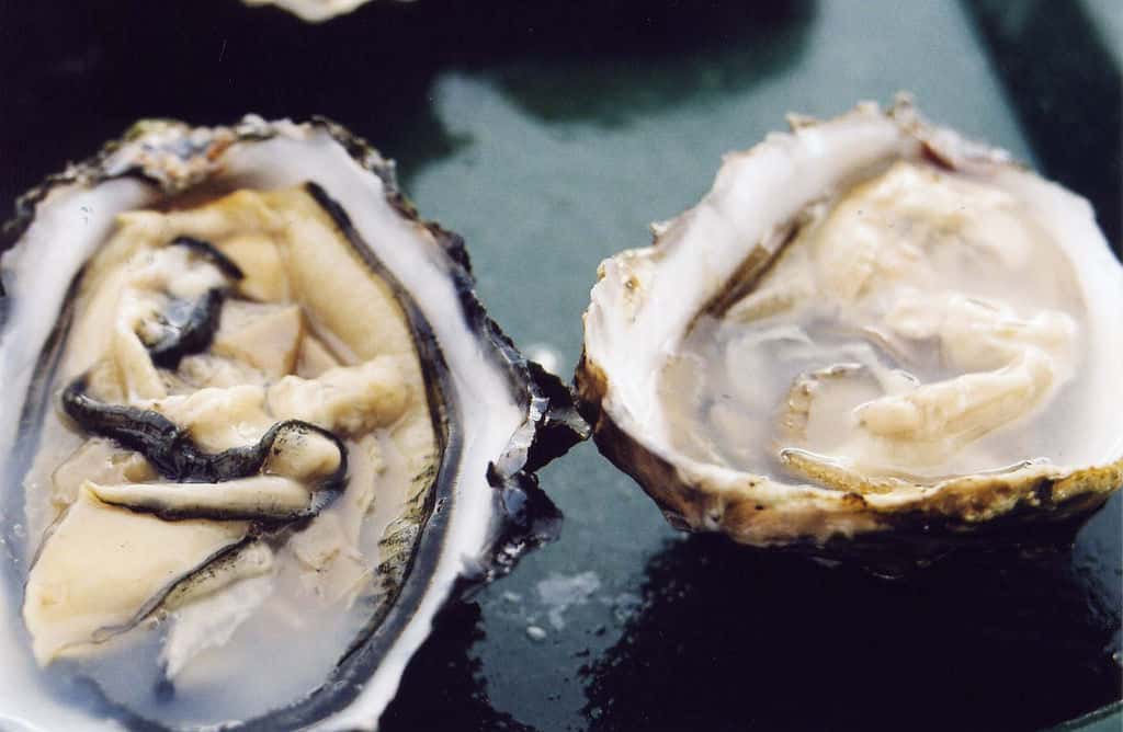 Texas woman died with ‘flesh eating bacteria’ in raw oysters  Spino News – https://wp.me/p8P0MI-2bl